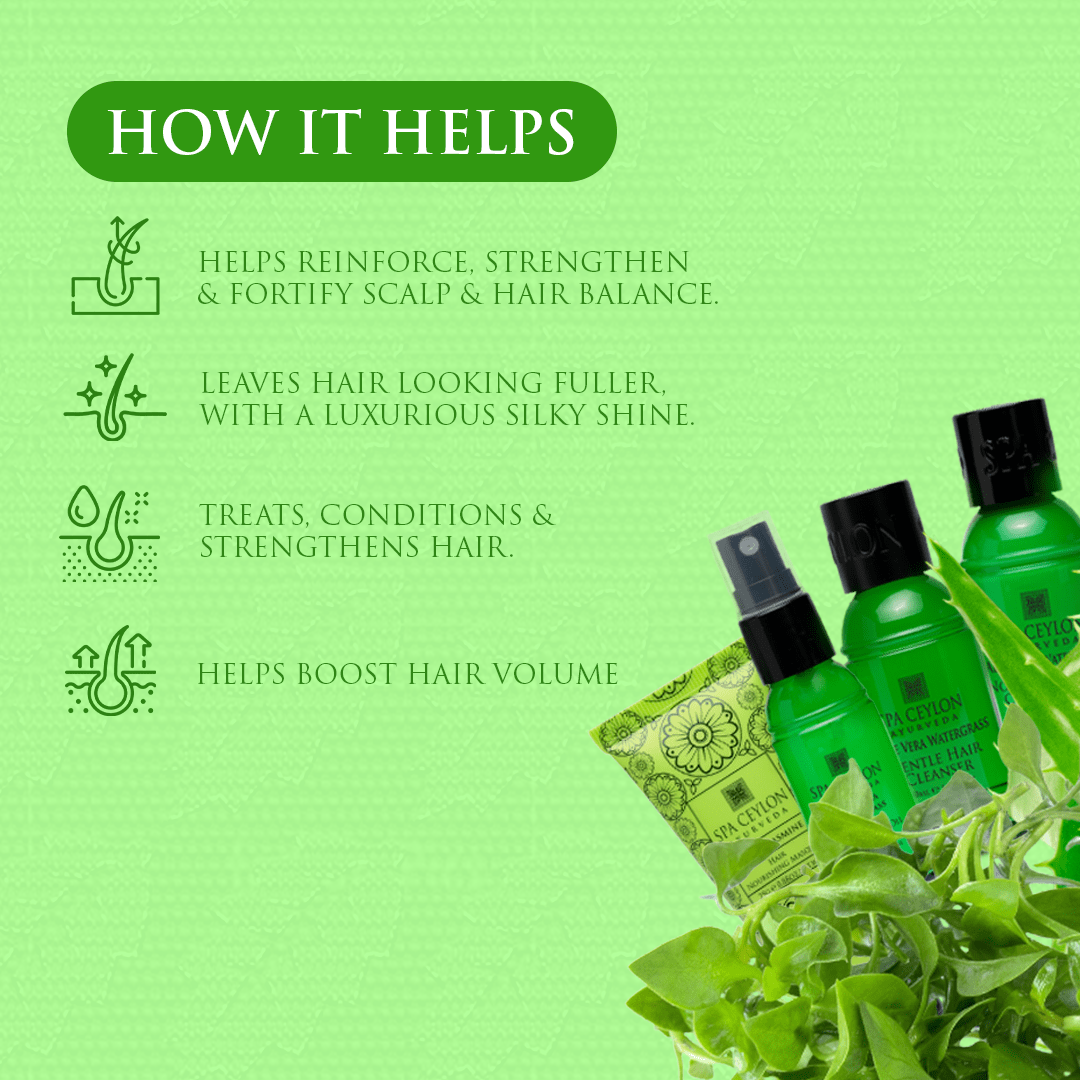 Aloe Vera Watergrass - Hair Care Discovery Set