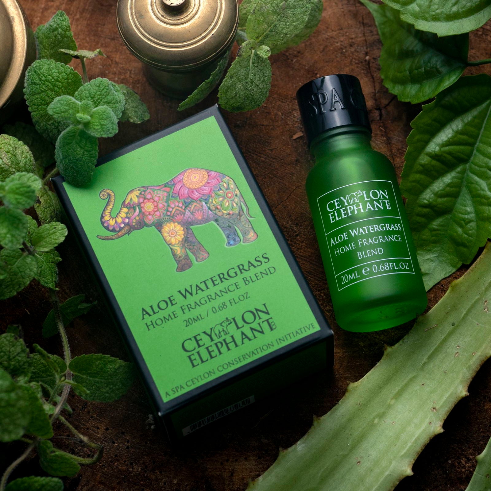 Aloe Watergrass - Home Aroma Blend 20ml - Spa Ceylon Sri Lanka