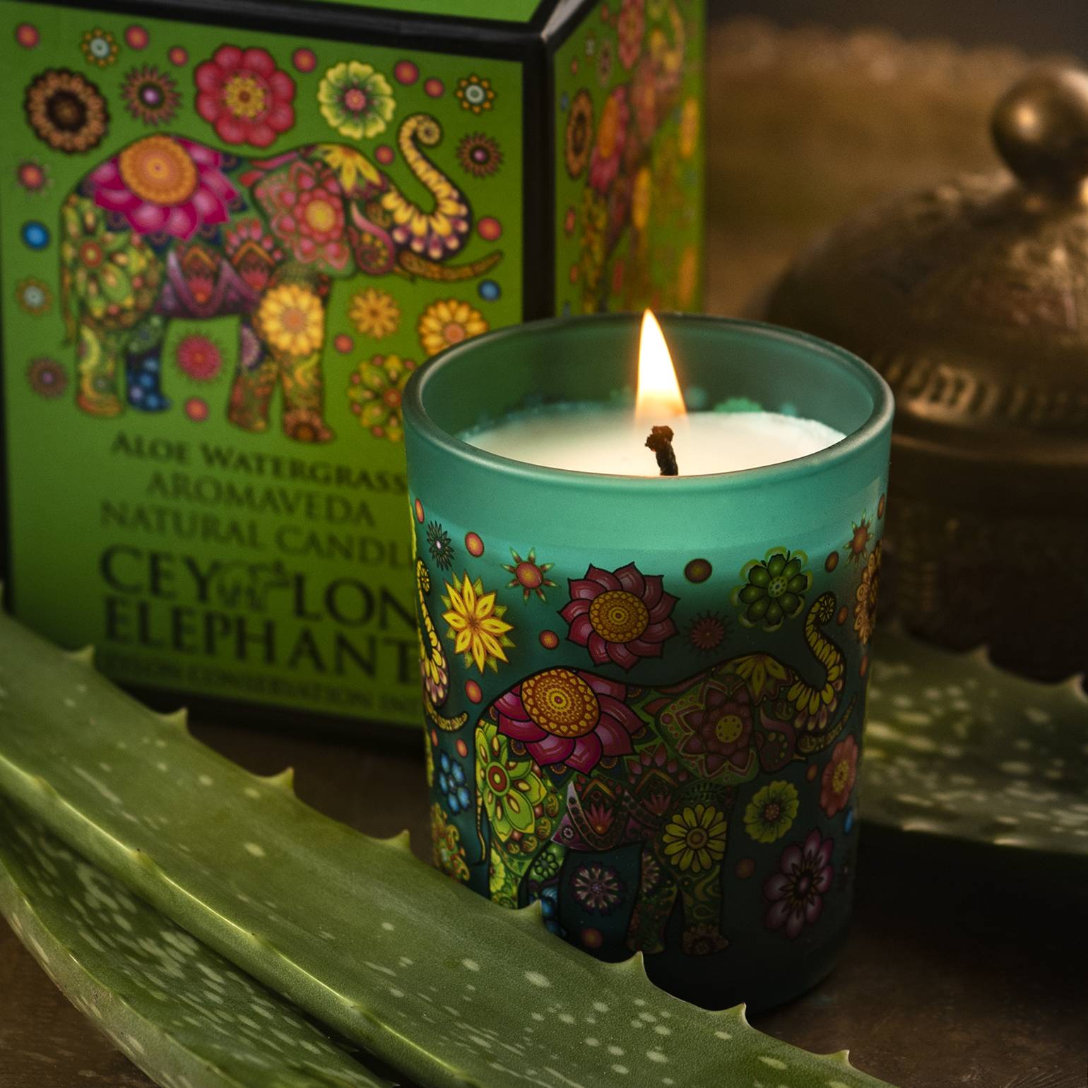 Ceylon Elephant Aloe Water Grass - Aromaveda Natural Candle 50g - Spa Ceylon Sri Lanka