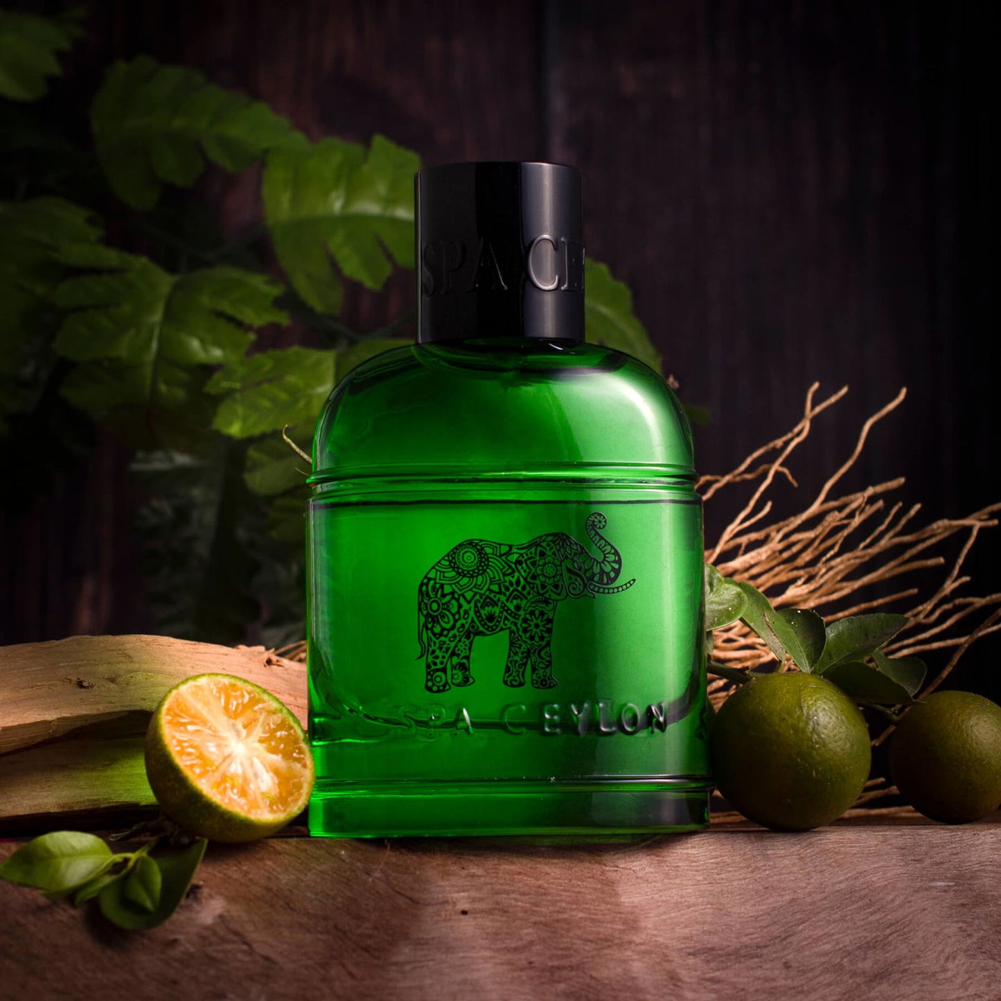 Forest Escape Ceylon Elephant Eau De Perfume 100ml - Spa Ceylon Sri Lanka