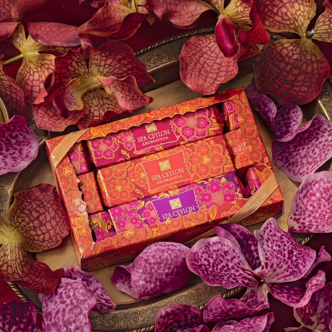 Orchid Paradise - Island Cracker Trio