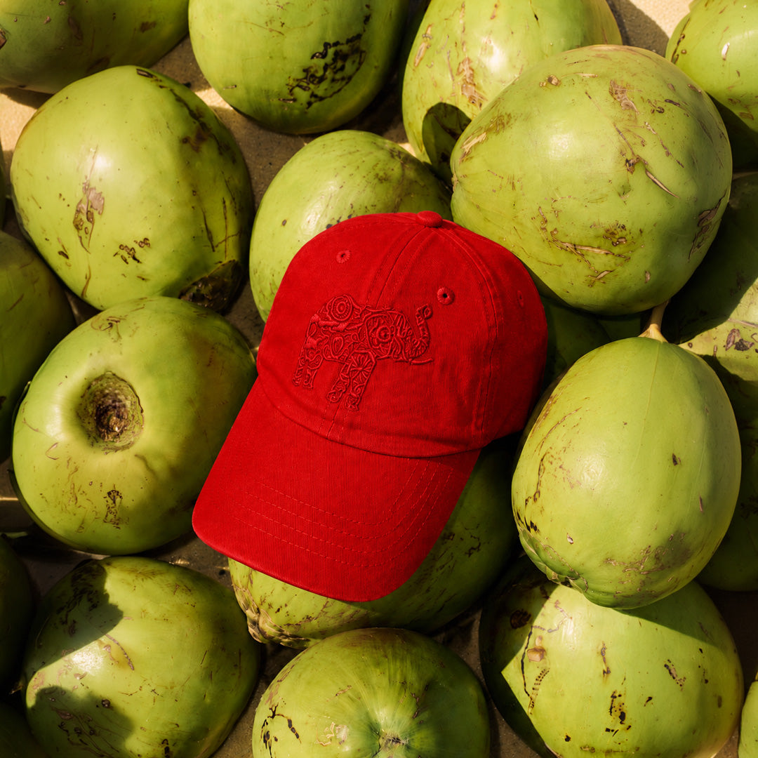 Ceylon Elephant Unisex Cap - Red