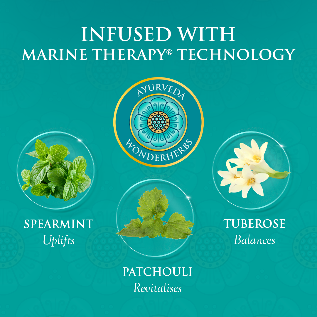 SeaVeda - Uplifting Wellness Trio