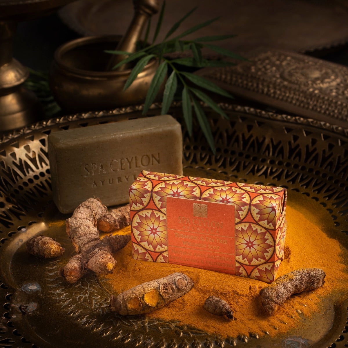 Turmeric & Tea Tree - Anti-Bacterial Exfoliating Wellness Soap 100g - Spa Ceylon Sri Lanka