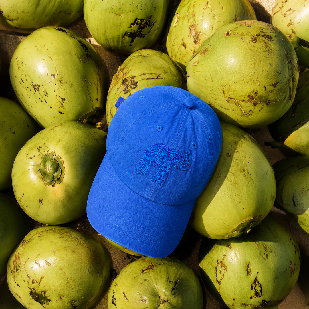 Ceylon Elephant Unisex Cap - Blue