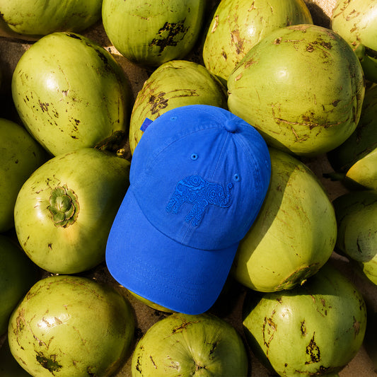 Ceylon Elephant Unisex Cap - Blue