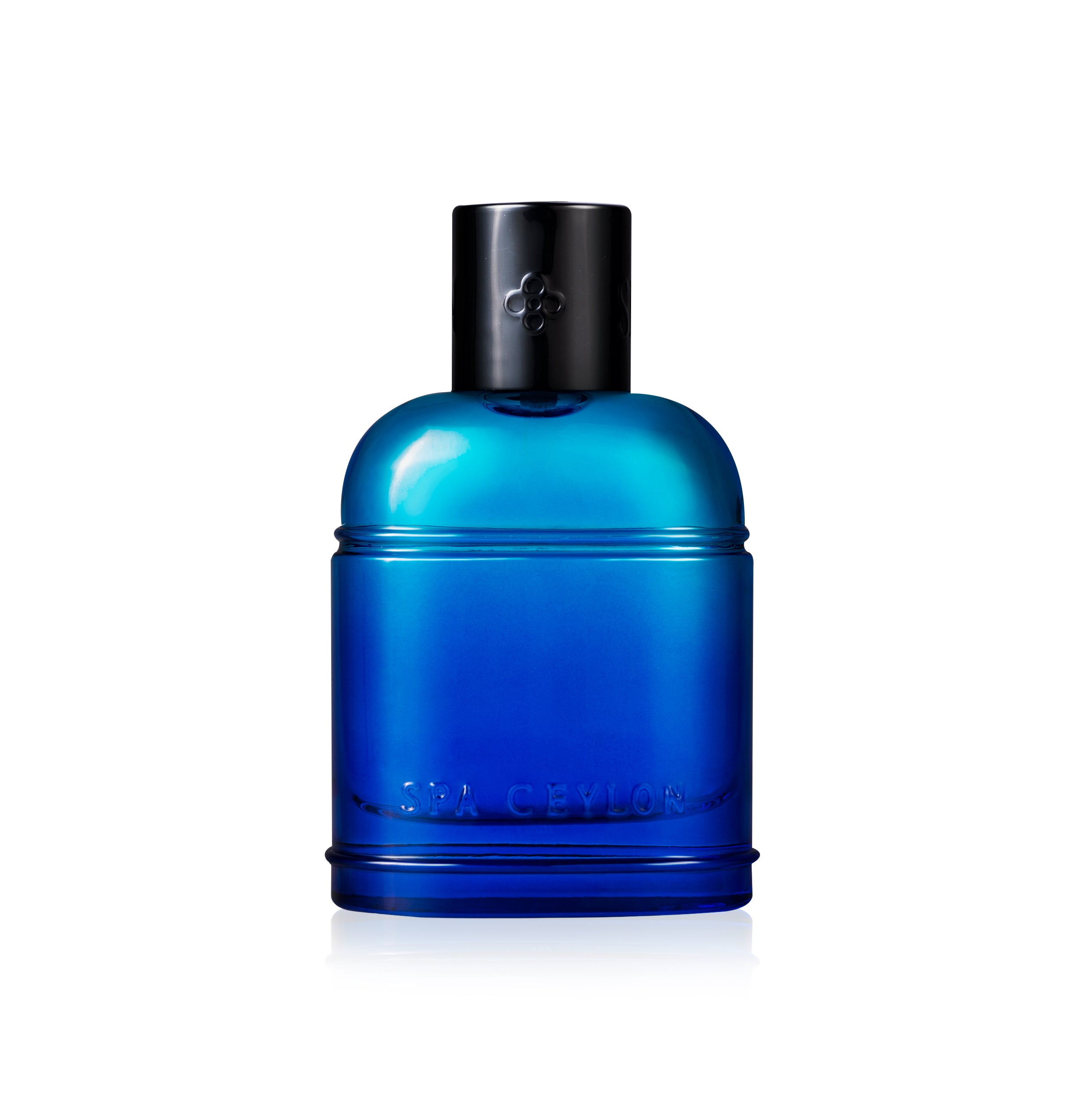 Surf Aru - Men's Eau De Perfume Cologne 100ml