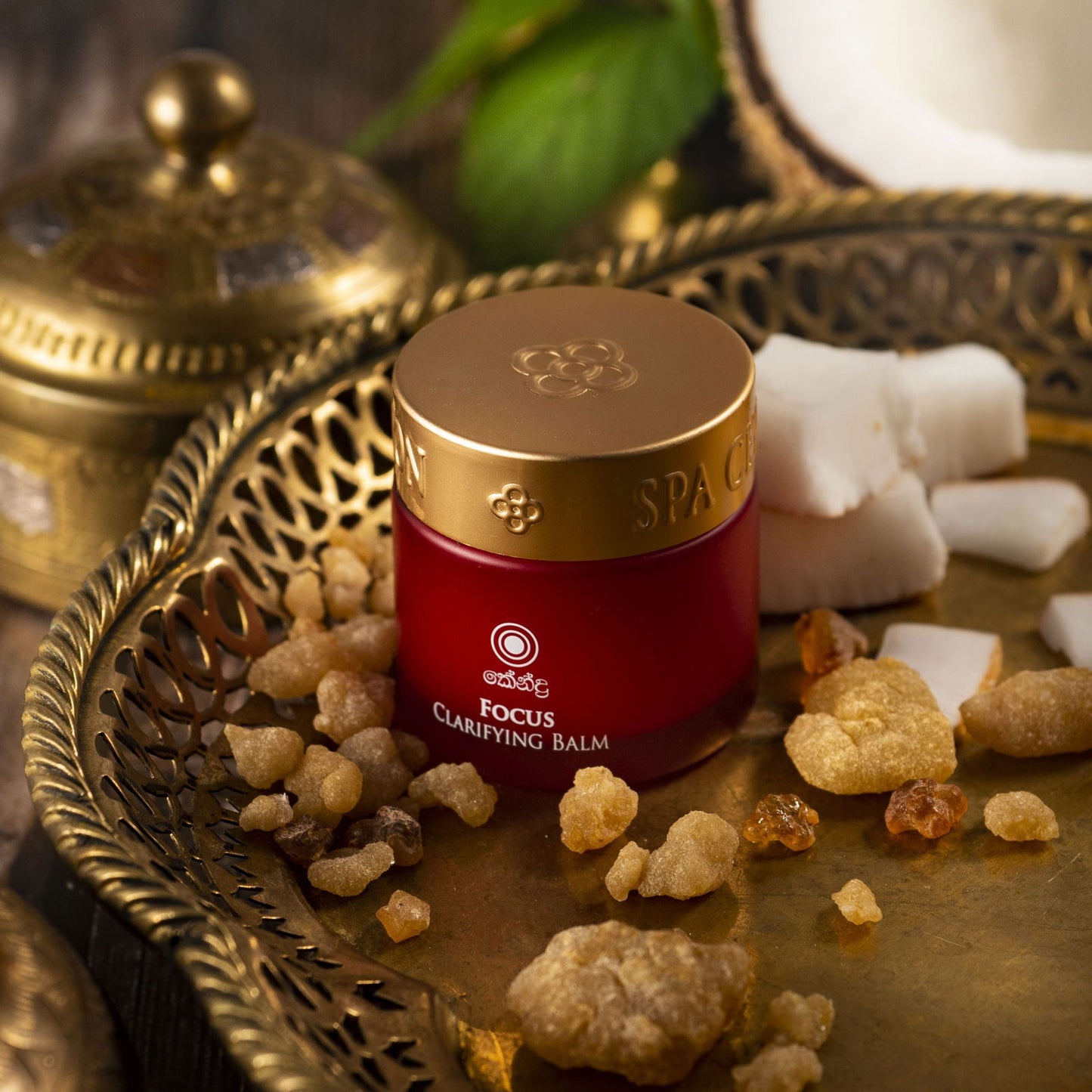 Focus - Clarifying Balm 25g - Spa Ceylon Sri Lanka