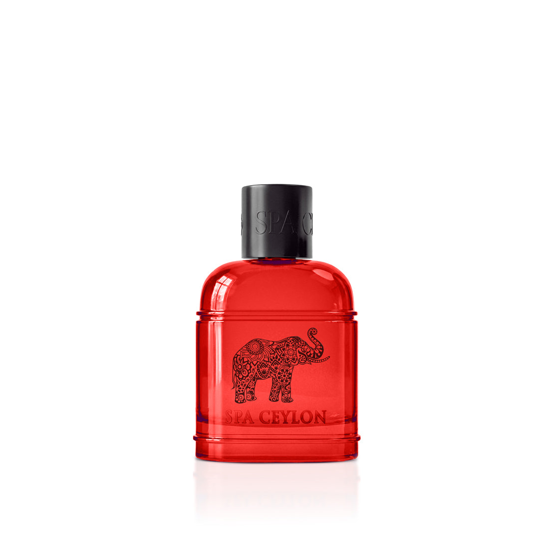 Forest Energy Ceylon Elephant Men's Eau De Perfume 100ml