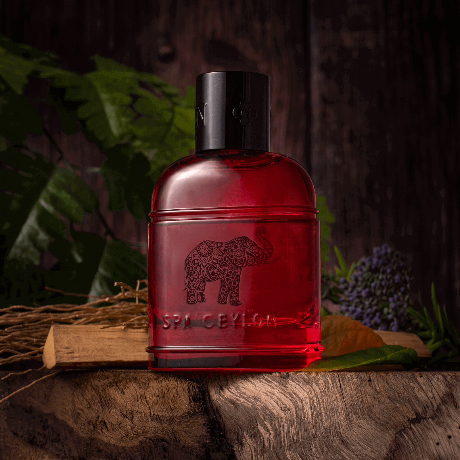Forest Energy Ceylon Elephant Eau De Perfume 100ml - Spa Ceylon Sri Lanka