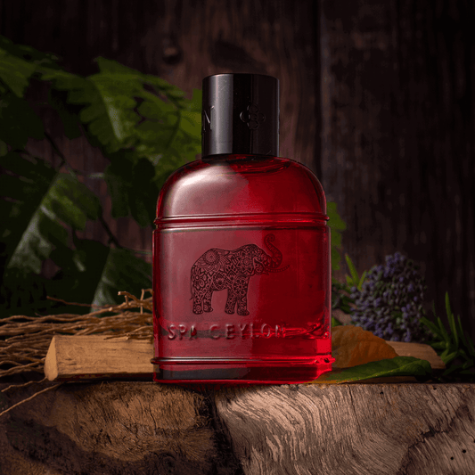 Forest Energy Ceylon Elephant Eau De Perfume 100ml - Spa Ceylon Sri Lanka