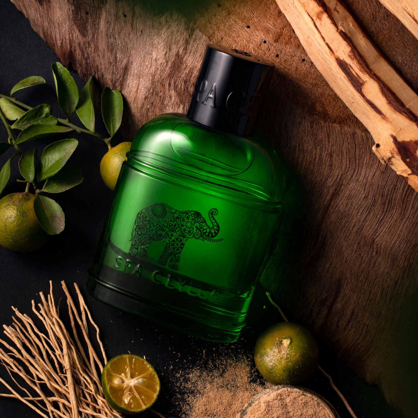 Forest Escape Ceylon Elephant Eau De Perfume 100ml - Spa Ceylon Sri Lanka