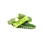Moringa