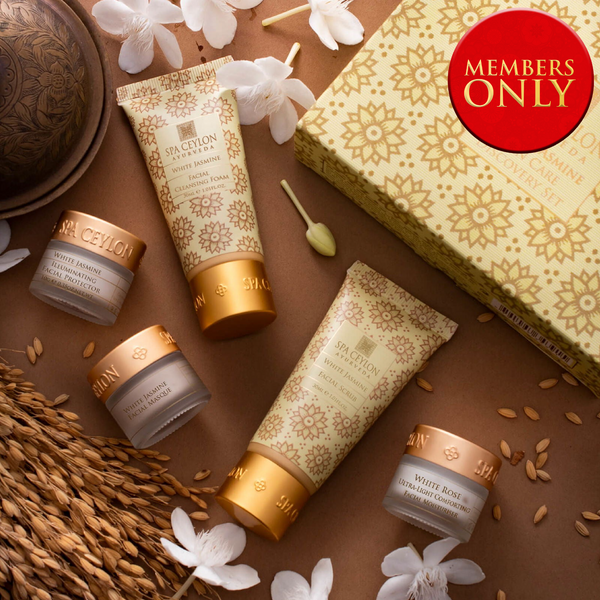 jasmine0051さま専用 jasmineさま 専用 【公式通販】