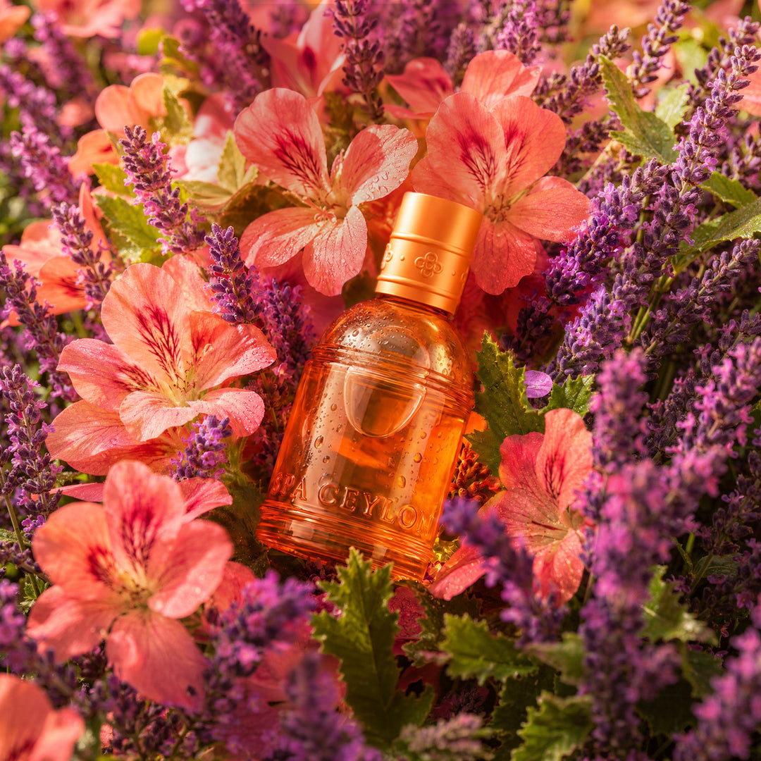 SunKiss Rose - Eau De Perfume - 50ml