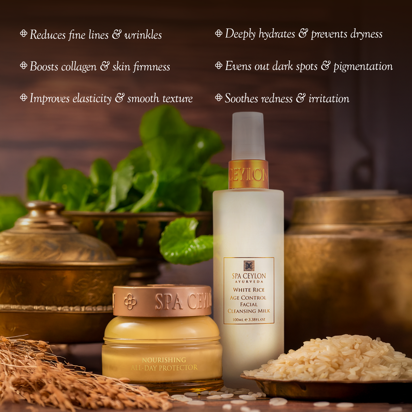 The Duo for Normal to Dry Skin