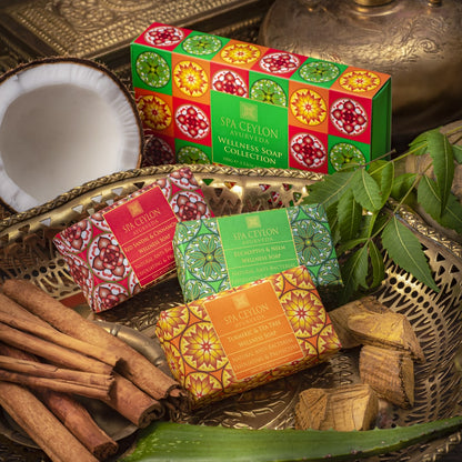 Wellness Soap Collection - 100g