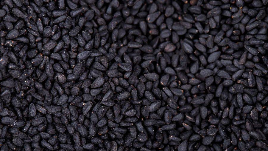 Black Seed 